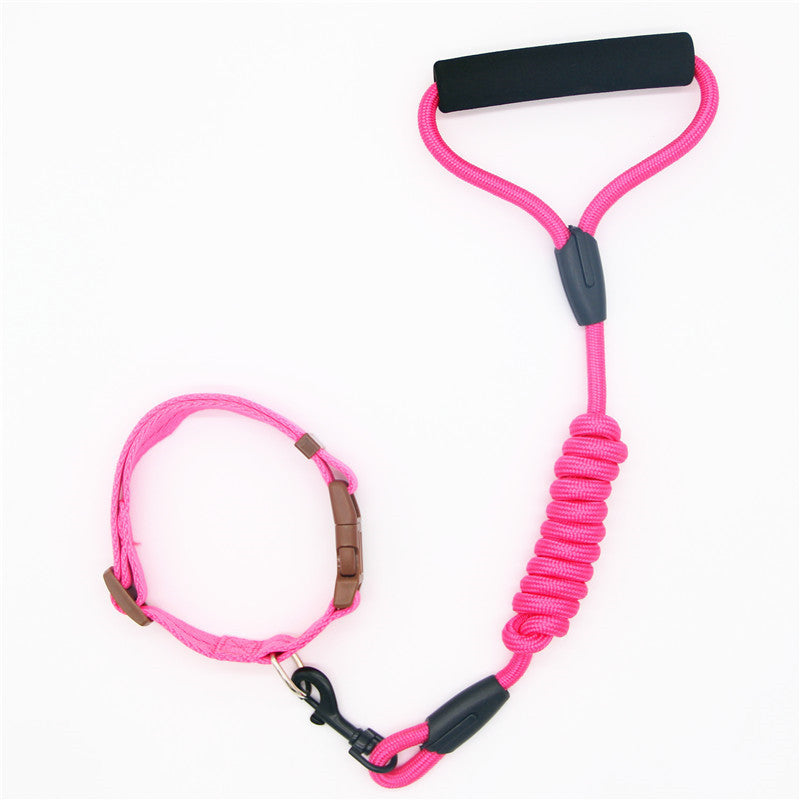 Molly Pistachio™ | Colorful Walk Set