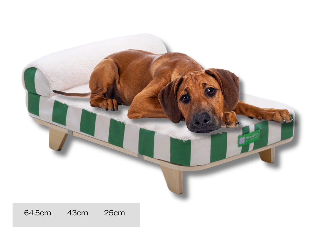 Molly Pistachio® | Elevated Dog Bed