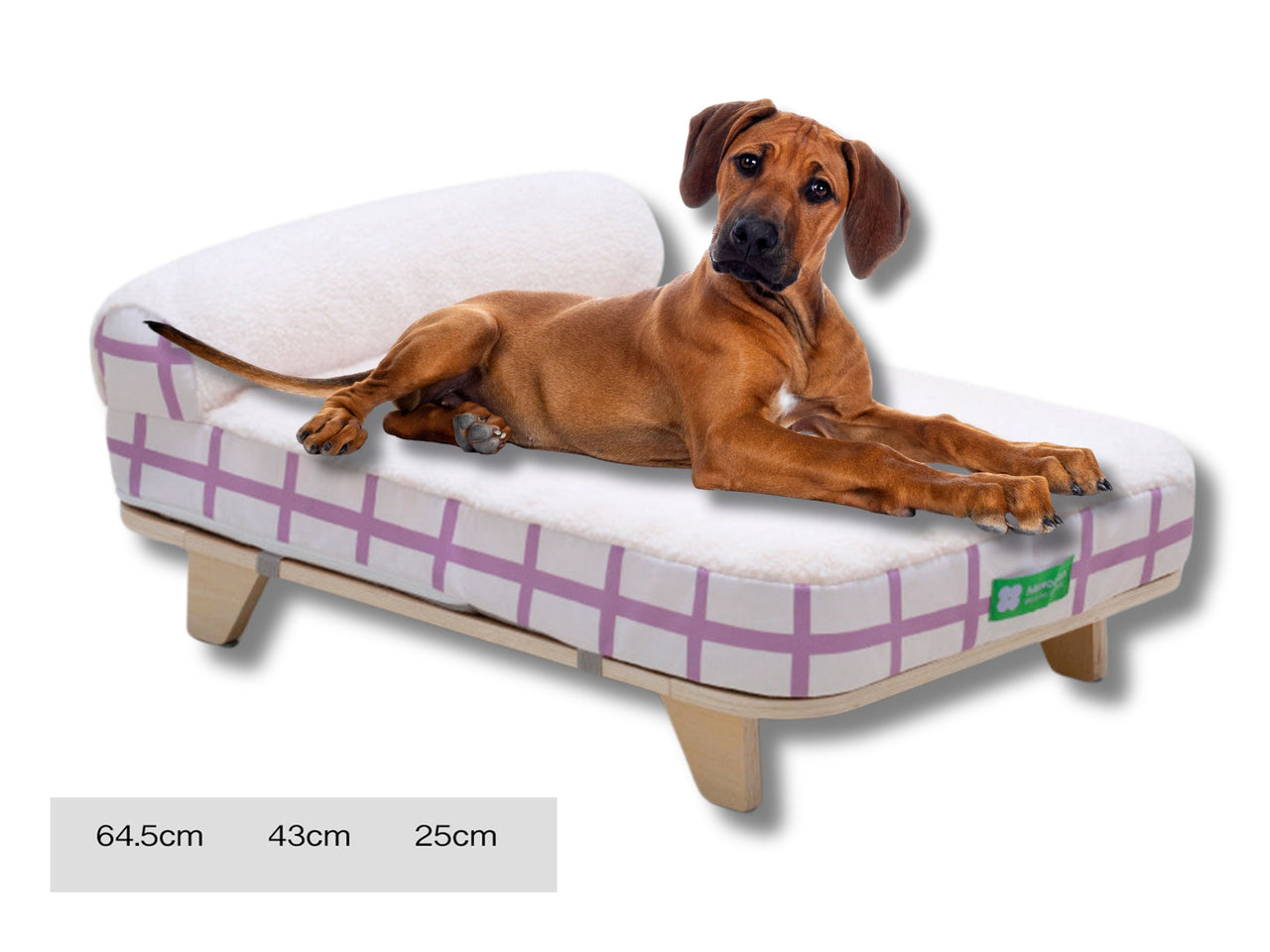 Molly Pistachio® | Elevated Dog Bed