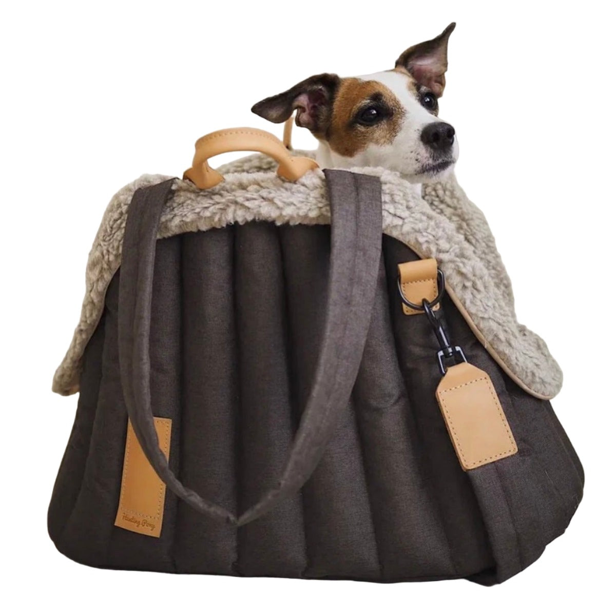 Molly Pistachio® | Premium 3-in-1 Pet Carrier