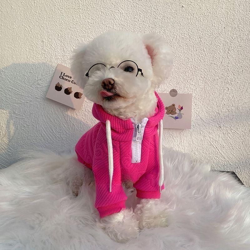 Molly Pistachio™ |  Pupreme Elements Designer Dog Hoodie