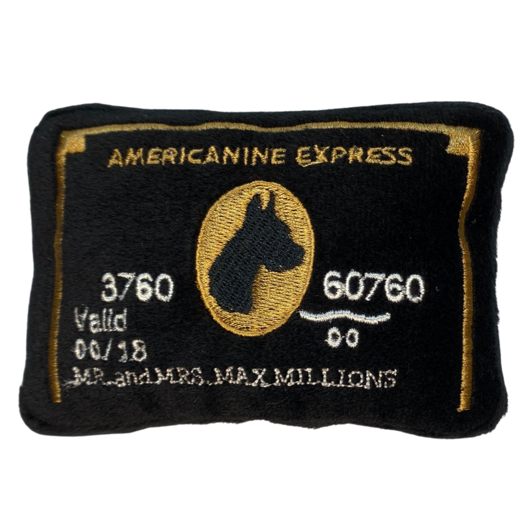 Molly Pistachio® | Americanine Express Dog Squeaky Toy